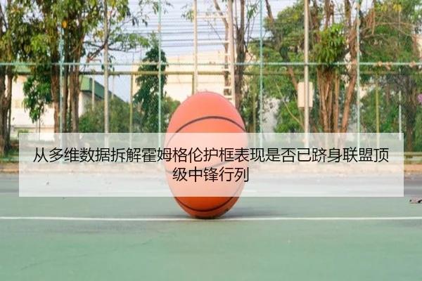 从多维数据拆解霍姆格伦护框表现是否已跻身联盟顶级中锋行列